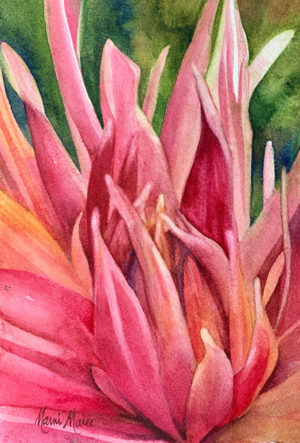Dahlia close up, watercolory by Marni Maree